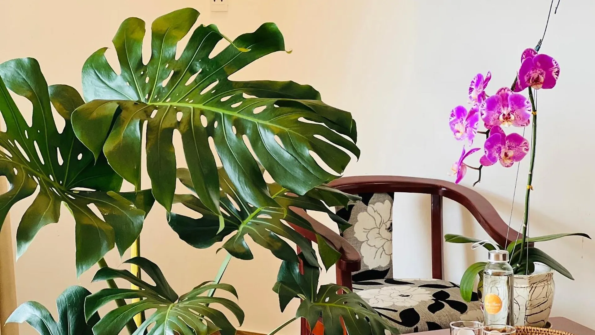 Thuy House Hoi An Apartment 0*,  Vietnam