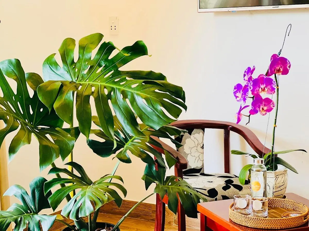 Homestay Thuy House Hoi An Apartment