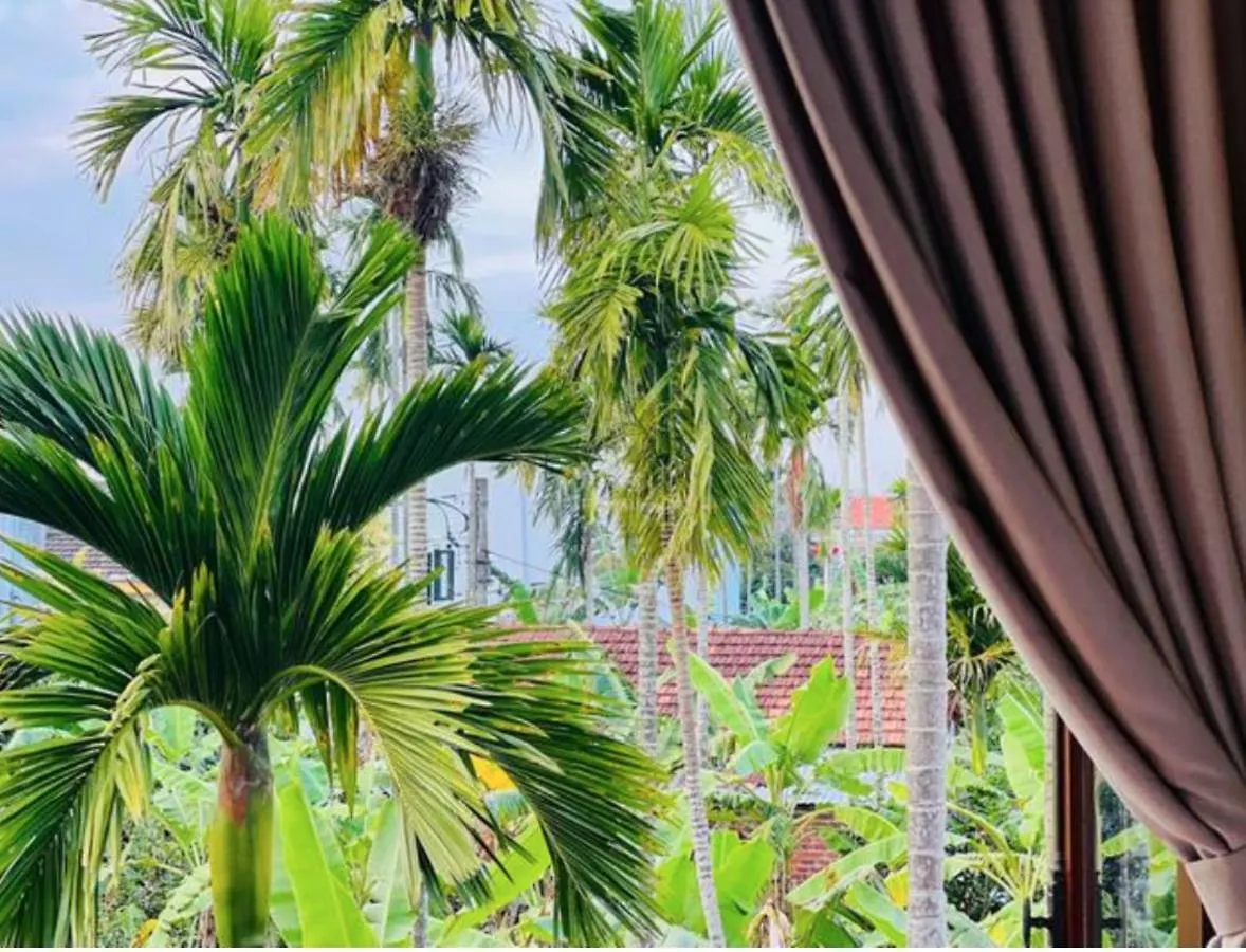 Thuy House Hoi An Apartment 0*,
