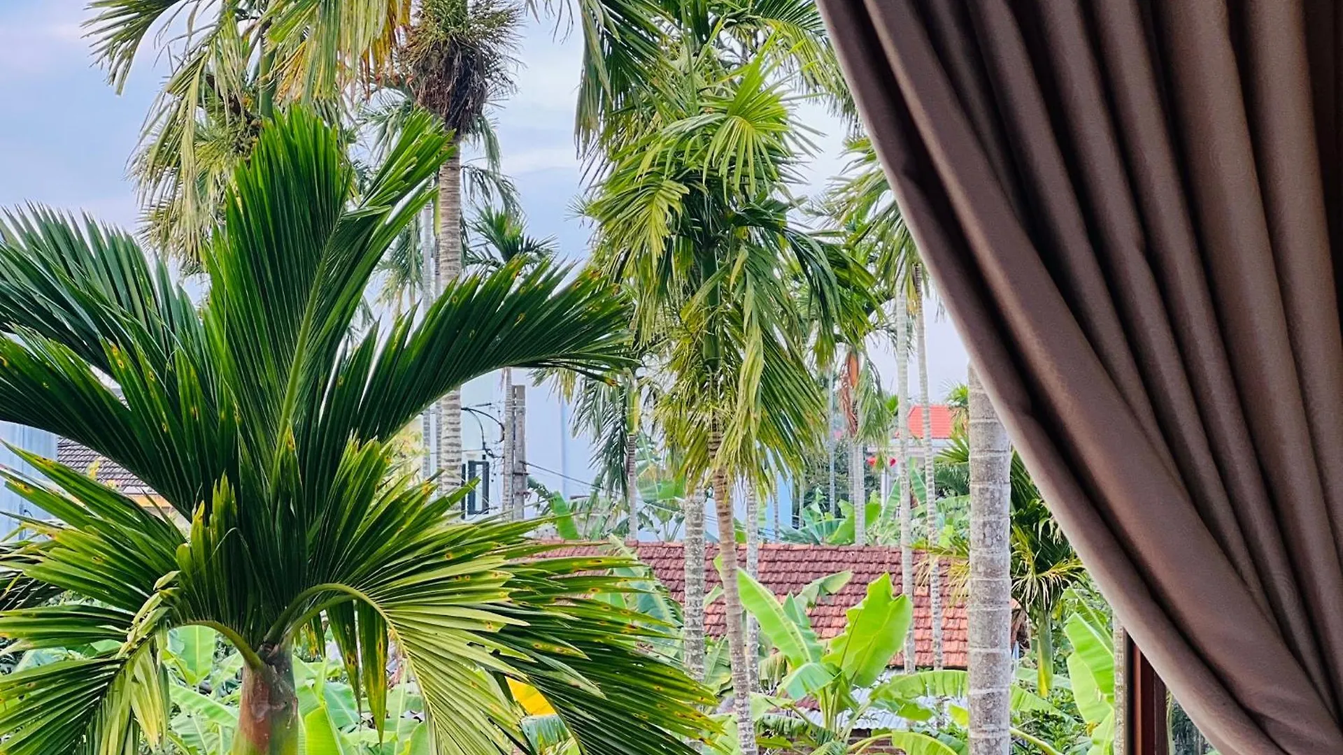 Thuy House Hoi An Apartment