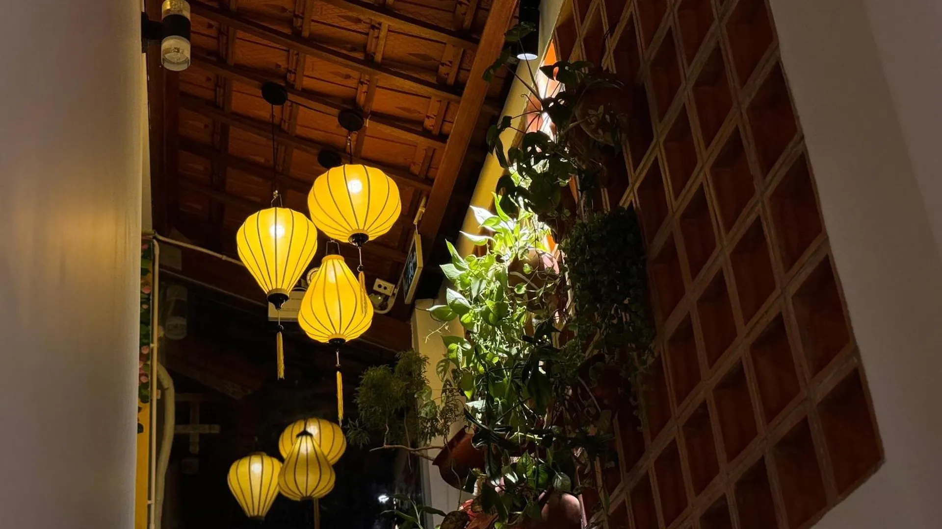 Thuy House Hoi An Apartment Homestay